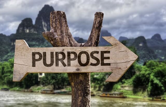 Purpose wooden sign with a forest background